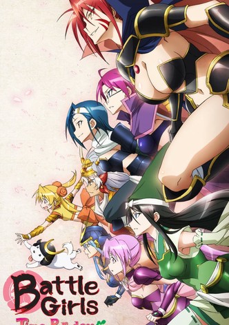 Sengoku Otome: Momoiro Paradox-poster-2011-1767813200