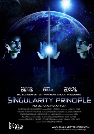 Singularity Principle-poster-2013-1768816537