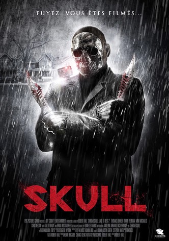 Skull-poster-2011-1768758178