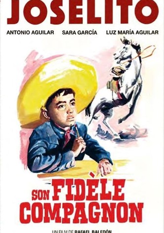 Son fidèle compagnon-poster-1962-1768554628