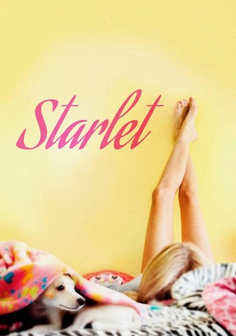 Starlet-poster-2012-1768810900