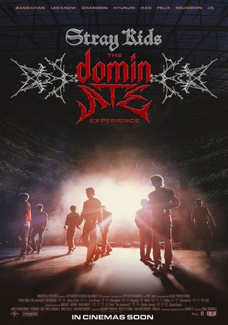Stray Kids: The dominATE Experience-poster-2026-1768658691