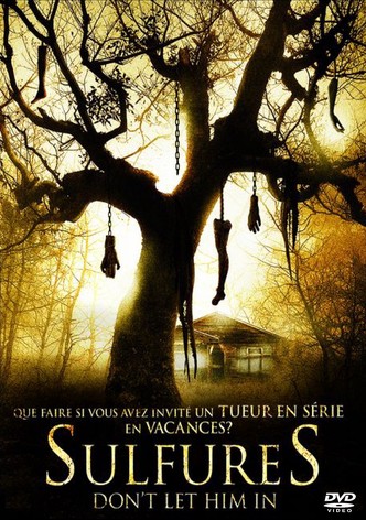 Sulfures-poster-2011-1768758709