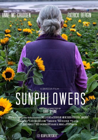 Sunphlowers-poster-2025-1769248927
