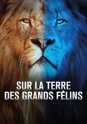 Sur la terre des grands félins-poster-2024-1768496712
