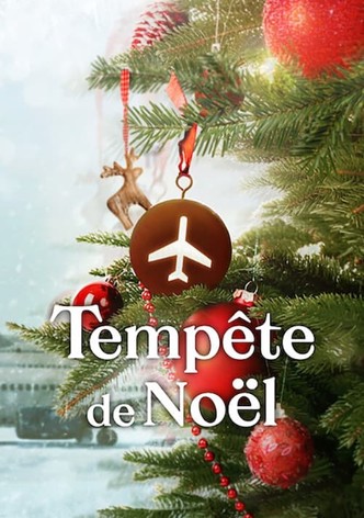 Tempête de Noël-poster-2022-1767879297