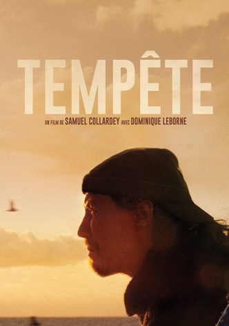 Tempête-poster-2016-1768833844