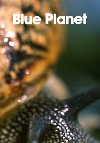 The Blue Planet-poster-1982-1768613446