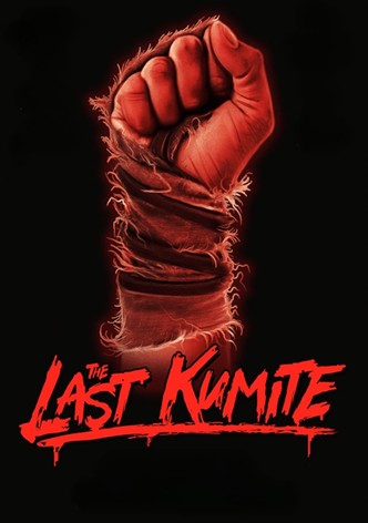 The Last Kumite-poster-2024-1769118697