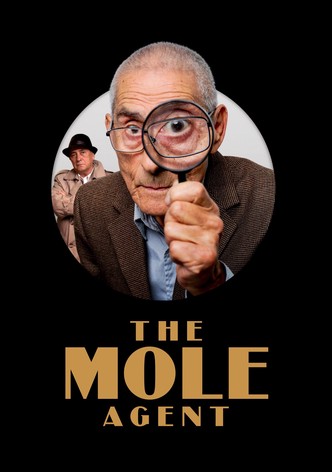 The Mole Agent-poster-2020-1769315878