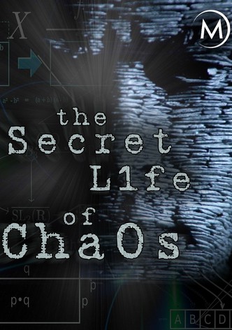 The Secret Life of Chaos-poster-2010-1768744509
