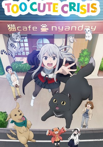 Too Cute Crisis-poster-2023-1767862926