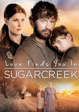 Trouver l&rsquo;amour à Sugarcreek-poster-2014-1768817802