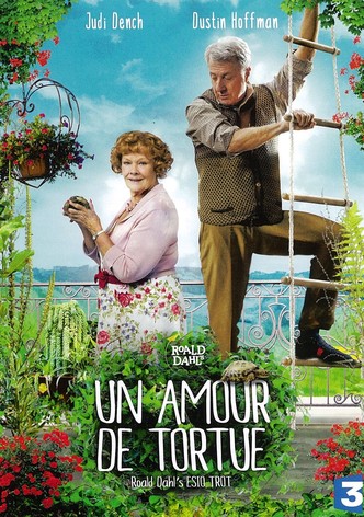 Un amour de tortue-poster-2015-1768822991