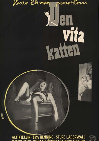 Un chat blanc-poster-1950-1767863281