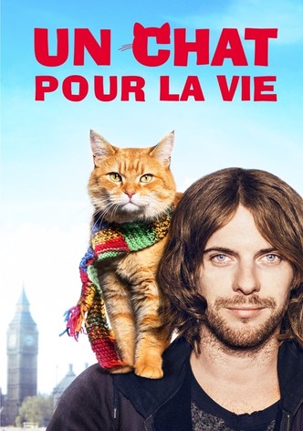 Un chat pour la vie-poster-2016-1768823309