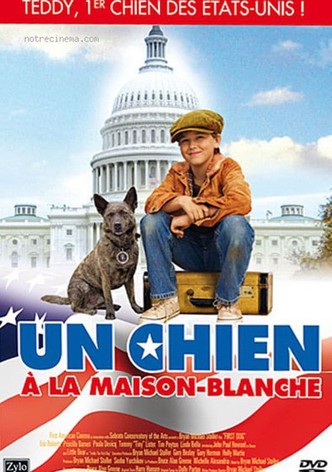 Un chien à la Maison Blanche-poster-2010-1768734199