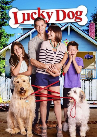 Un chien très chanceux-poster-2014-1768819529