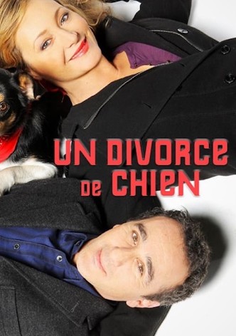 Un divorce de chien-poster-2010-1768744885