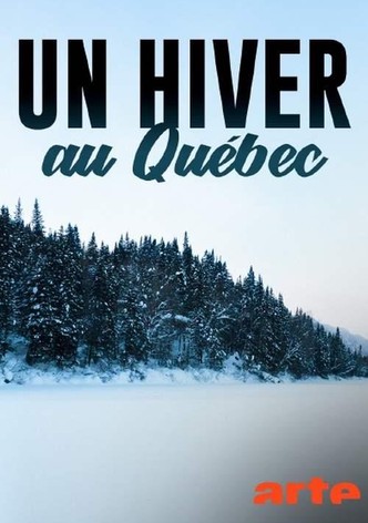 Un hiver au Québec-poster-2024-1767760178