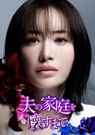 Until I Destroyed My Husband&rsquo;s Other Family-poster-2024-1768496207