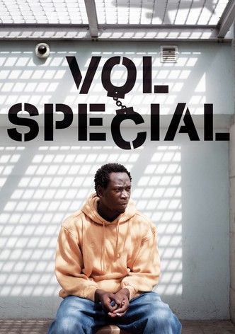 Vol spécial-poster-2011-1768758993