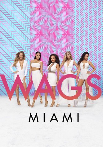 WAGS Miami-poster-2016-1768398697