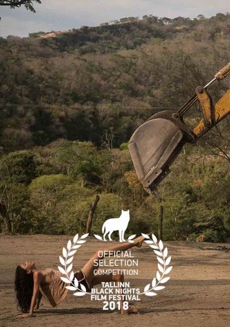 Wandering Girl-poster-2018-1768931400