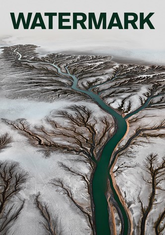Watermark-poster-2013-1768815499