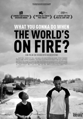 What You Gonna Do When the World&rsquo;s on Fire ?-poster-2019-1769317537