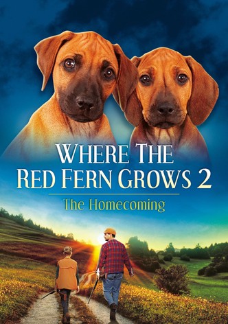 Where The Red Fern Grows Part 2-poster-1992-1768653847