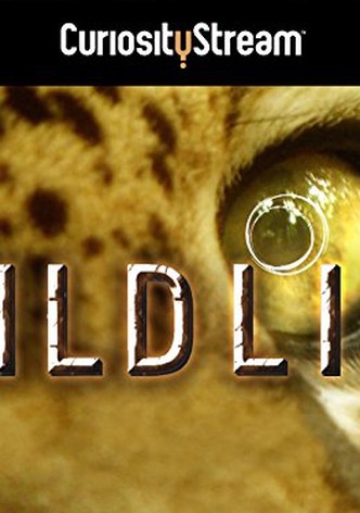 Wildlife-poster-2015-1768398231