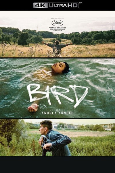 Bird-poster-fr-2024