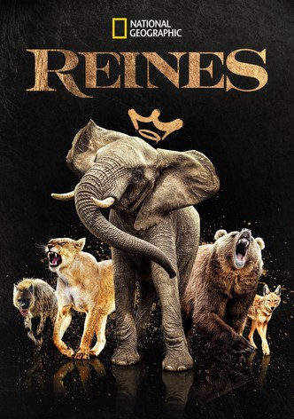 Reines (2024)-poster-fr-2024